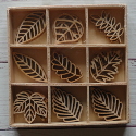 Box of 27  Leaf shapes (3 each of 9 designs) as shown