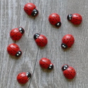 Pack of 10 wooden Ladybird decoration Embellishments, card toppers, as shown
