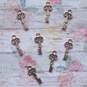 Pack of 8 silver coloured Metal Key embellishment, shapes