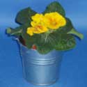 3 inch galvanised bucket