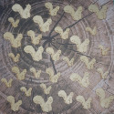 Pack of 30 natural plywood Squirrel shapes in 3 sizes