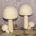 2 Natural Pine Toadstool / mushroom decoration, as shown