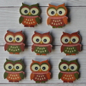 Pack of 8 wooden owl, orange green, brown